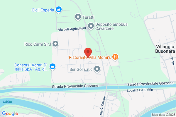 Tommasin azzurro