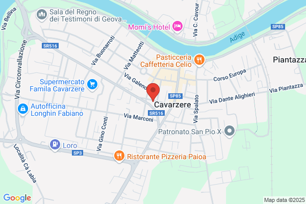 Voltolini guerrino