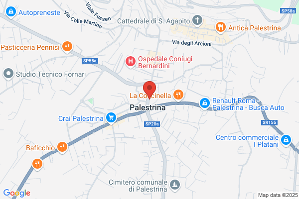 Studio Dental Preneste Srl