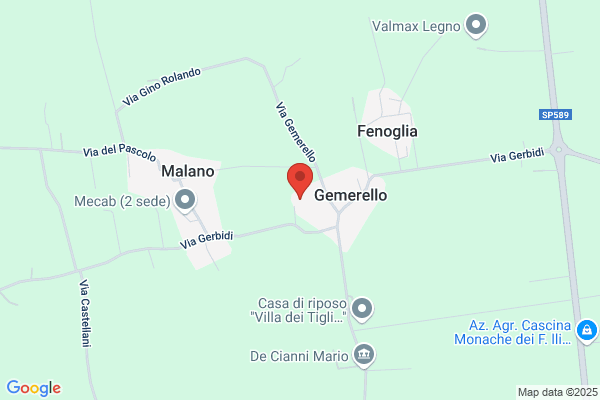 Rolfo luigi