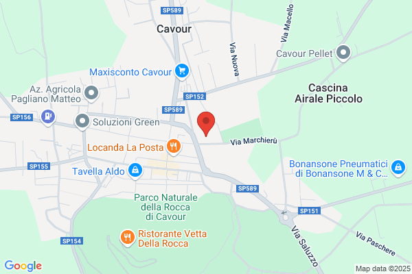 Ruetta claudio (Rag.)