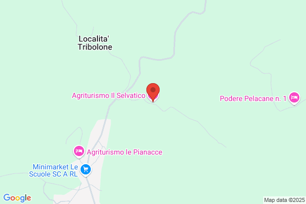 Selvatico piero