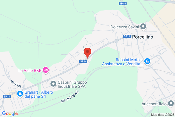 Lanzi Antonello