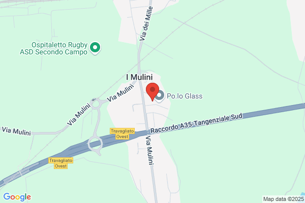 Lavorazione Ferro Olivini