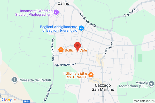 Palini angiolino