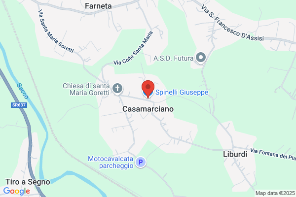 Spinelli sozio