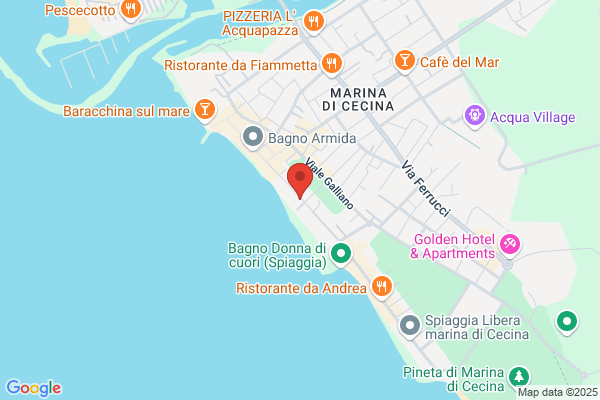 Lanemone Di Mare Di Cerri Vanda