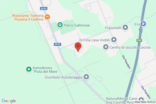 Racing Shop alessandro Giuseppe