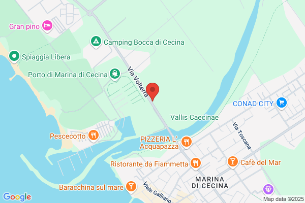 Mare Sub 2000 Di Cini Eddi