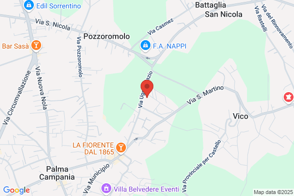 Scuole Pubbliche Istituto Magistrale Parificato A. Rosmini