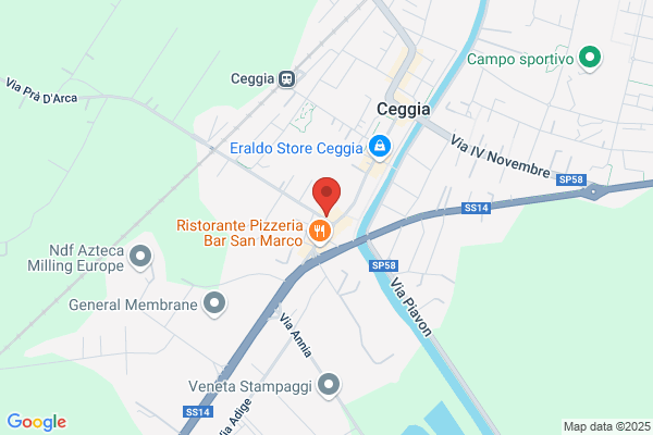 Spi Cgil Metropolitano Venezia