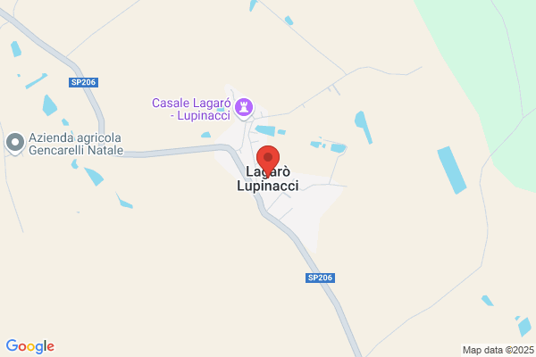 Cardon Sila