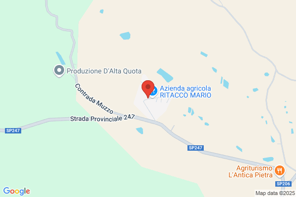 Municipio