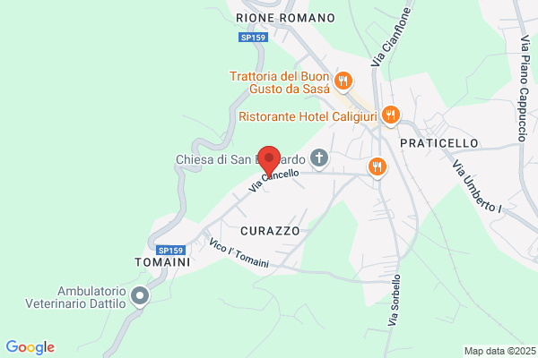 P. Comunita Dei Servi Della Parola