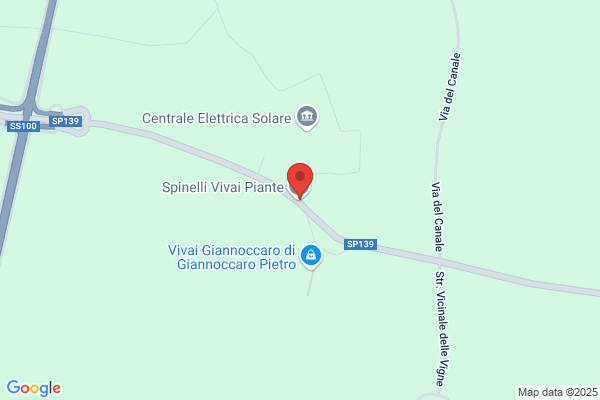 Spinelli Vivai Piante