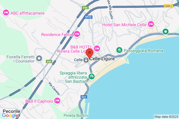 Il Consulente