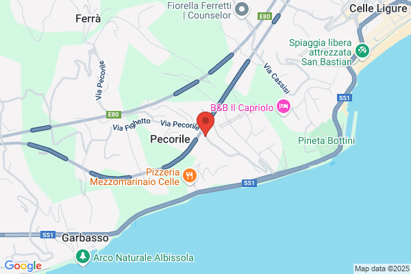 Traverso adelmo