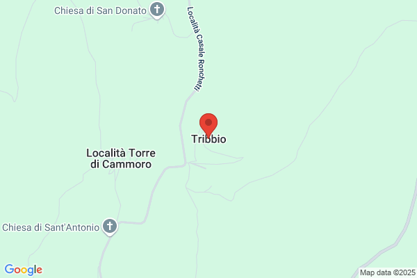 Tribbia E Biolcati S.N.C.