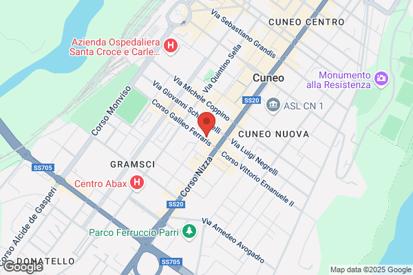 Macagno gemma (Dr.)