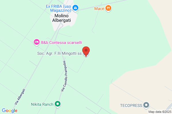 Mingotti gianfranco (Avv.)