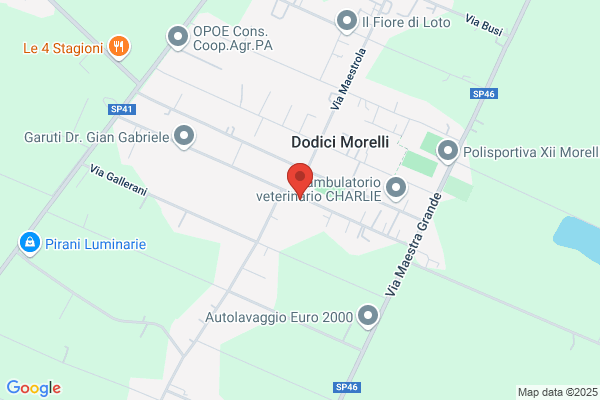 Montanari diego