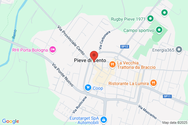 Piante E Fiori Di Spoladori Adriana