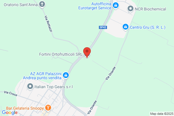 Fortini Fratelli