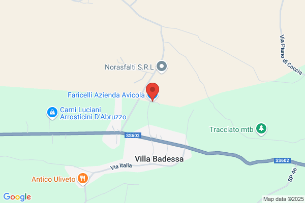 Faricelli Antonio