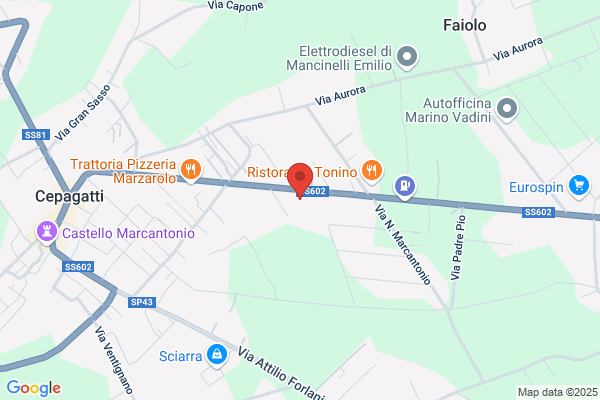 Procaccini virginia