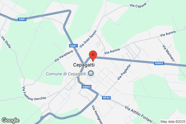 Qui Quo Qua Di Paolini alessandra