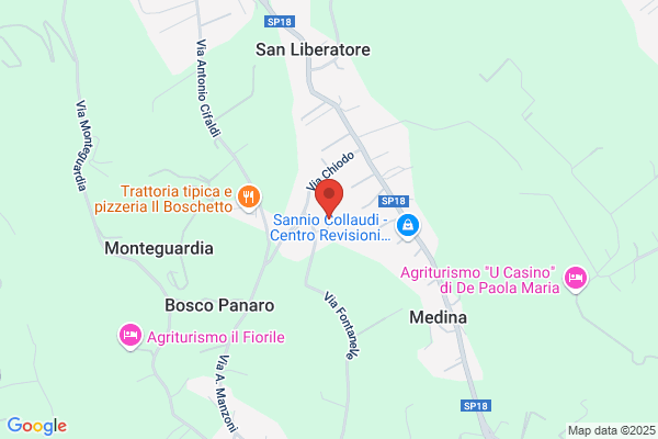 Clinica Veterinaria Sannio