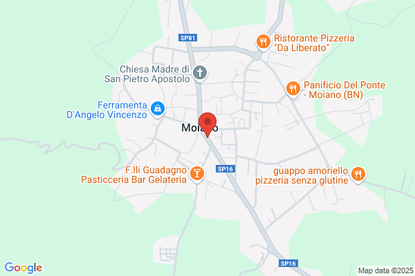 Ristorante Braceria All'Antico Vialone