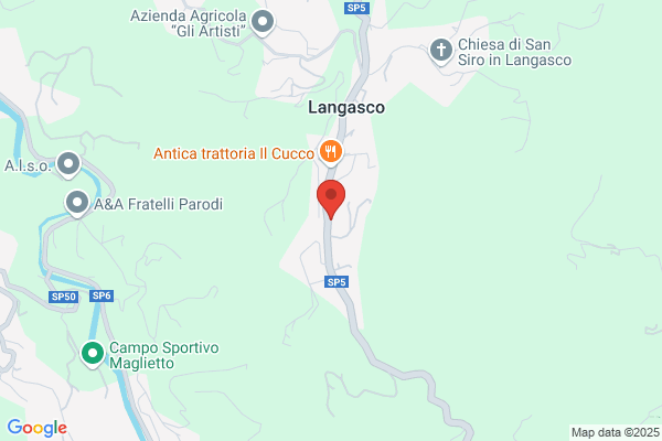 Rebora massimo