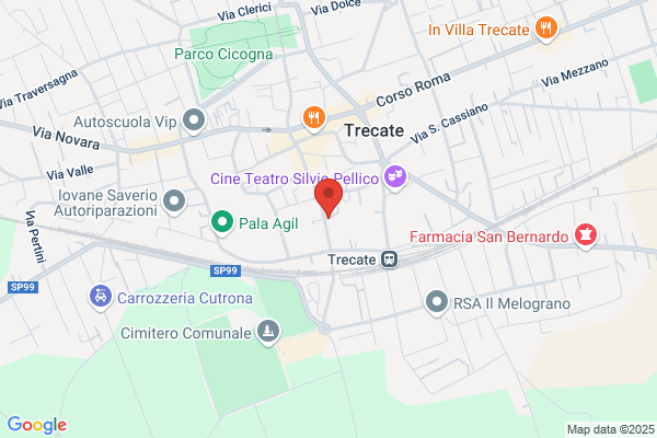 Tacchino enrica (Dr.)