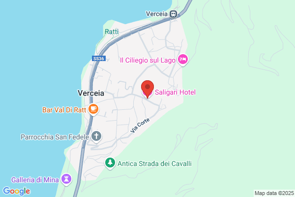 Hotel Saligari