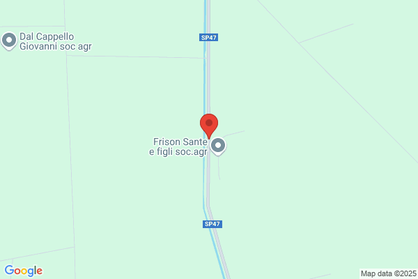 Frisoni Igino