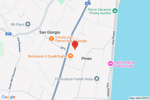 Pinto Autodemolizioni