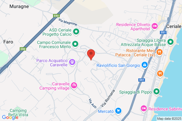 Taxi Autoservizio Giorgio Vigliercio