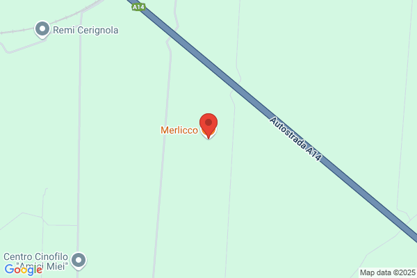 Merlicco giovanni
