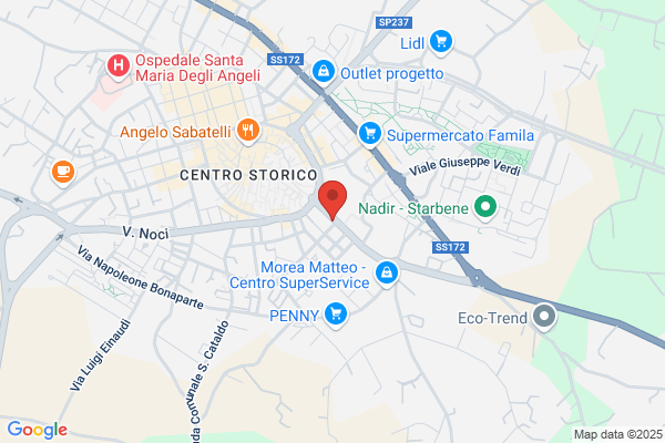 Unione Nazionale Italiana Trasporto Ammalati A Lourdes e santuari I/// (Nternazi