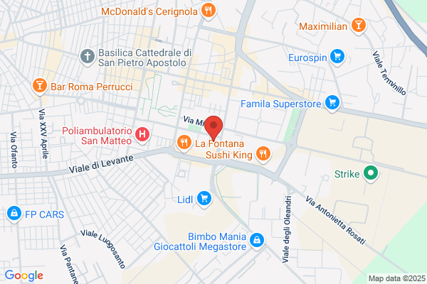 Salapia Spedizione E Trasporti S.A.S.