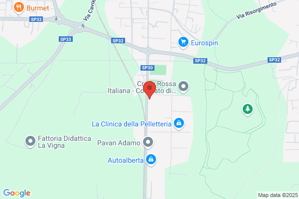 Furini Pio