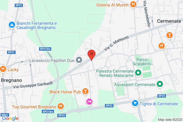 Lario Trasporti (S.A.S.)