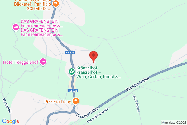 Costruzioni del Burgraviato