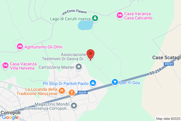 Associazione Testimoni Di Geova