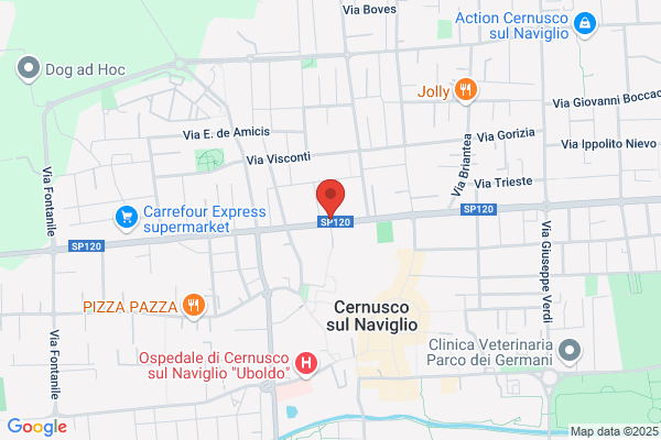 Gariboldi Emilia Di Bonanomi Antonio E C.