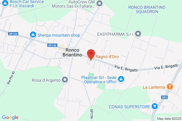 Ristorante Ragno Doro (S.R.L.)