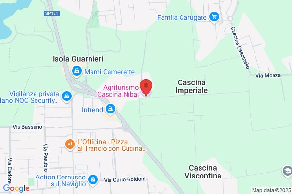 Leccadito nicolino