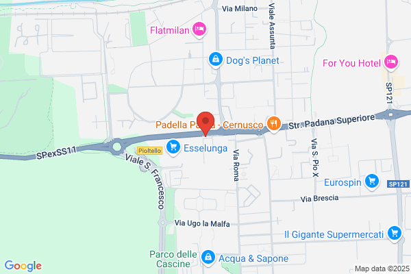 Fuji Medical Systems Italia (S.R.L.)