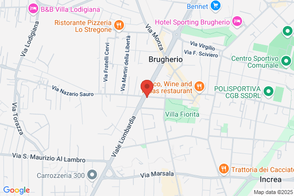 Autonoleggio con Conducente Brugherio Drive 4 You Semplificata